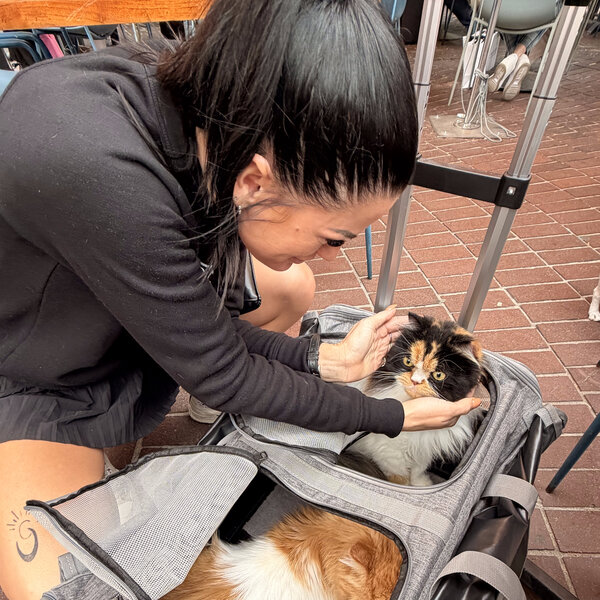 Sharmeen gently handling cats from a pet carrier — one example of the 300+ species she has worked with