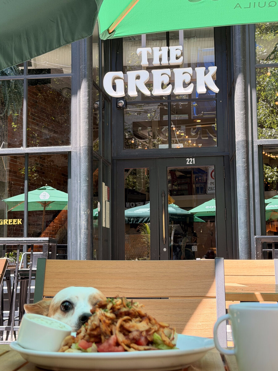 A small dog peeking over the table at The Greek by Anatoli patio in Gastown